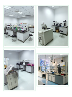 Abbkine偶聯標記技術服務正式上線，引領生物技術開發新篇章