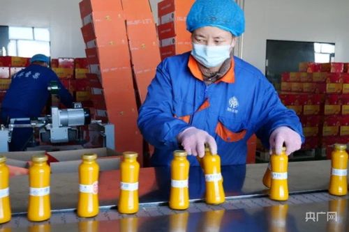 冬博會(huì)開(kāi)幕在即 青河縣各參展企業(yè)已準(zhǔn)備就緒