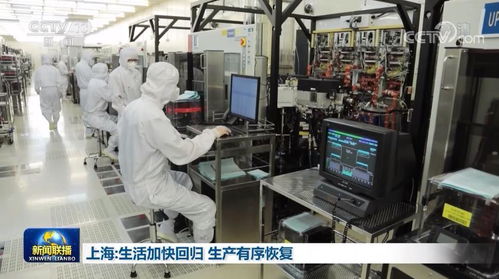 上海 生活加快回歸 生產(chǎn)有序恢復(fù)