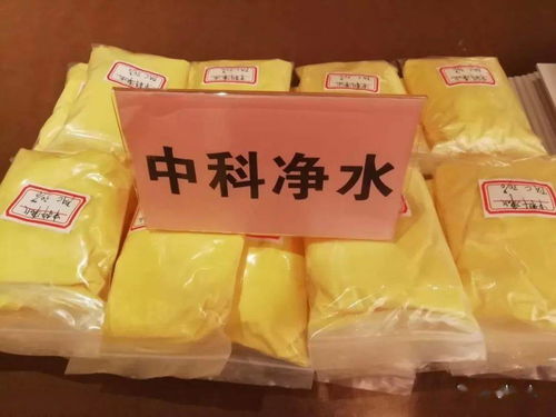 我們公司生產的聚合氯化鋁 凈水劑 的混凝原理